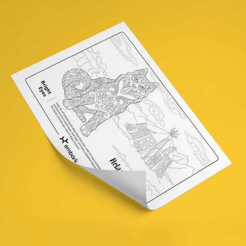 advanced coloring sheet for dogs
